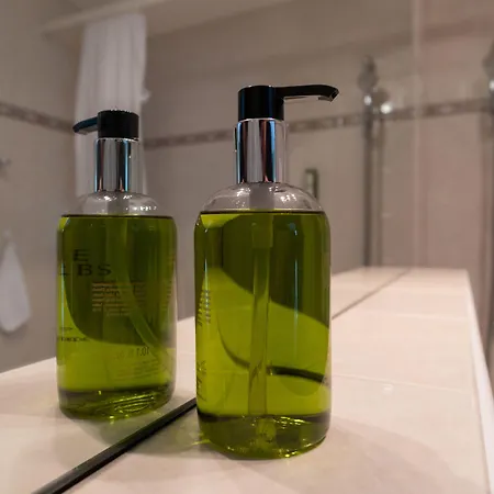 Ξενοδοχείο Typically Swiss Altana