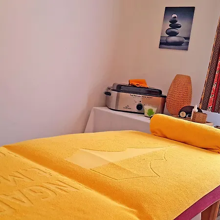 Typically Swiss Altana فندق سكول