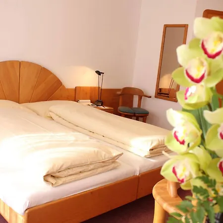 Typically Swiss Altana Scuol