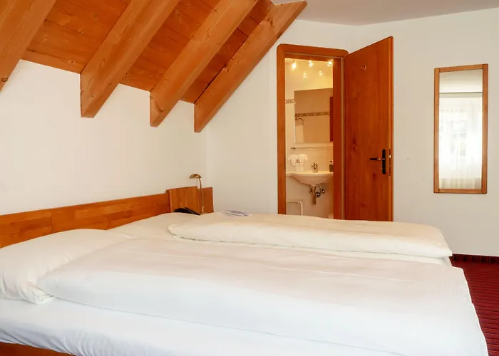 Hotel Typically Swiss Altana