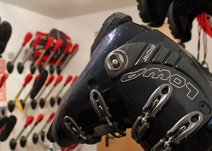 Typically Swiss Altana 3*