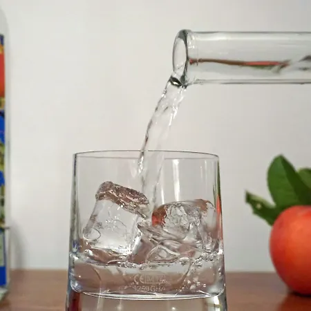 Typically Swiss Altana 3*