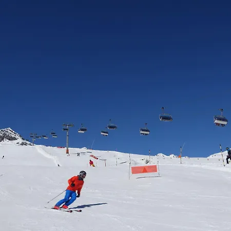 Typically Swiss Altana فندق