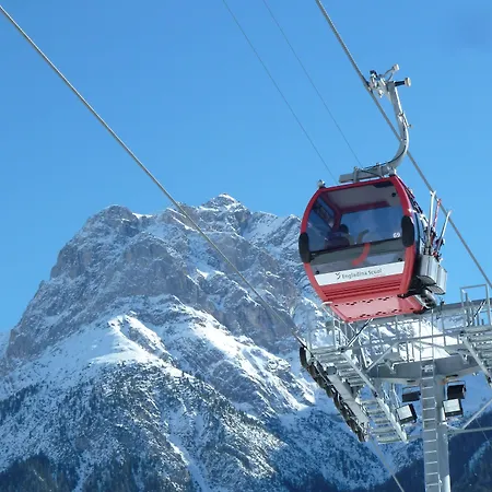 Typically Swiss Altana فندق 3*