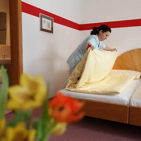 Hotel Typically Swiss Altana 3*