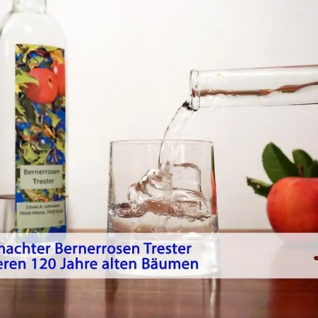 Typically Swiss Altana فندق 3*