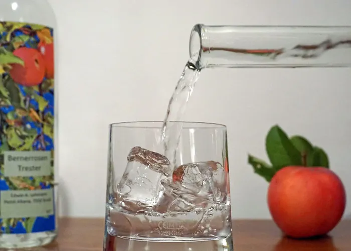 Typically Swiss Altana 3*