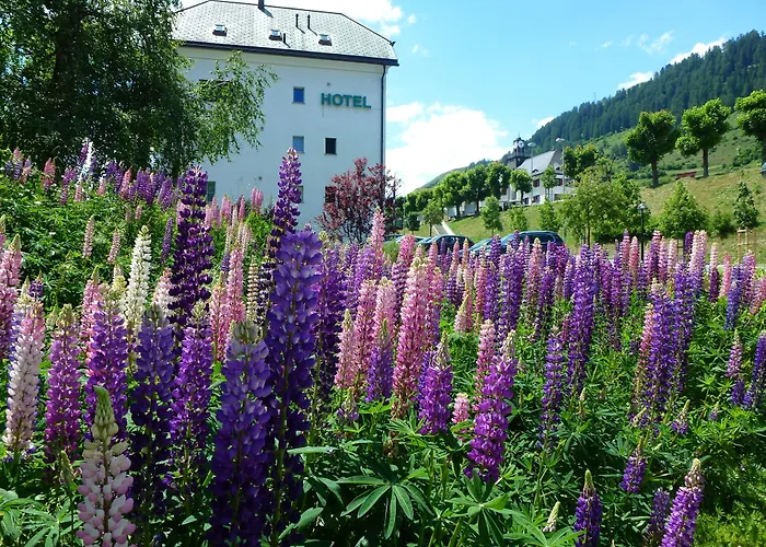 Typically Swiss Altana