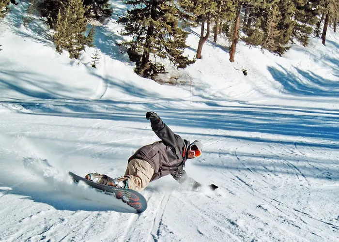 Hotel Typically Swiss Altana 3*